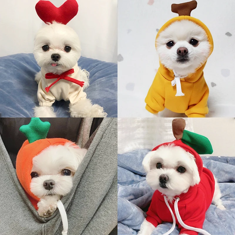 Новинка на раннюю осень свитер для любимых питомцев Тедди Бишон фриус