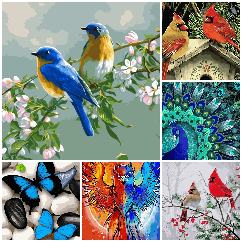 

Paint girl DIY Painting By Numbers animal bird peacock eagle 40x50cm VA-2545 drawing by numbers drawing set 2022