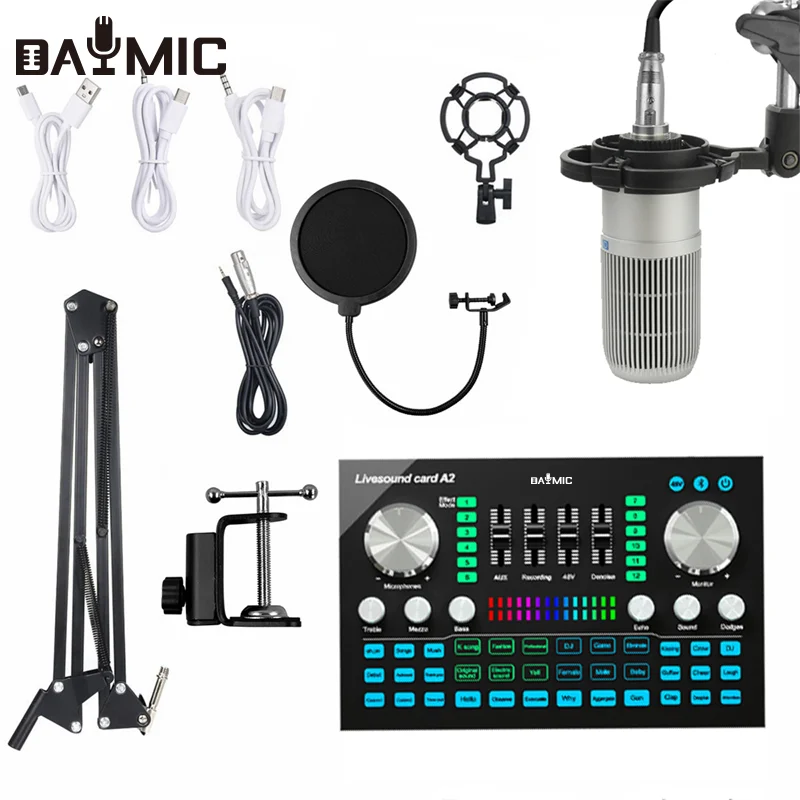 

Professional Audio Sound Card Set Condenser Microphone for Live Skype YouTuber Karaoke Gaming Recording