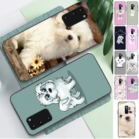 yinuoda cartoon maltese dog phone case for samsung s10 21 20 9 8 plus lite s20 ultra 7edge