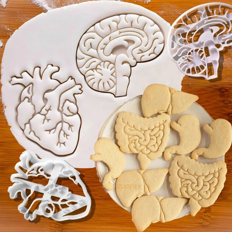 

Internal Organs Cookie Cutters Halloween Skull Brain Heart Embossed Biscuit Stamp Chocolate Mold Ghost Party Dessert Making Tool
