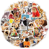 50 pcslot kawaii humorous muscle cooker kitten cat sheriff stickers hd skateboard cup motorbike laptop sticker guitar gift