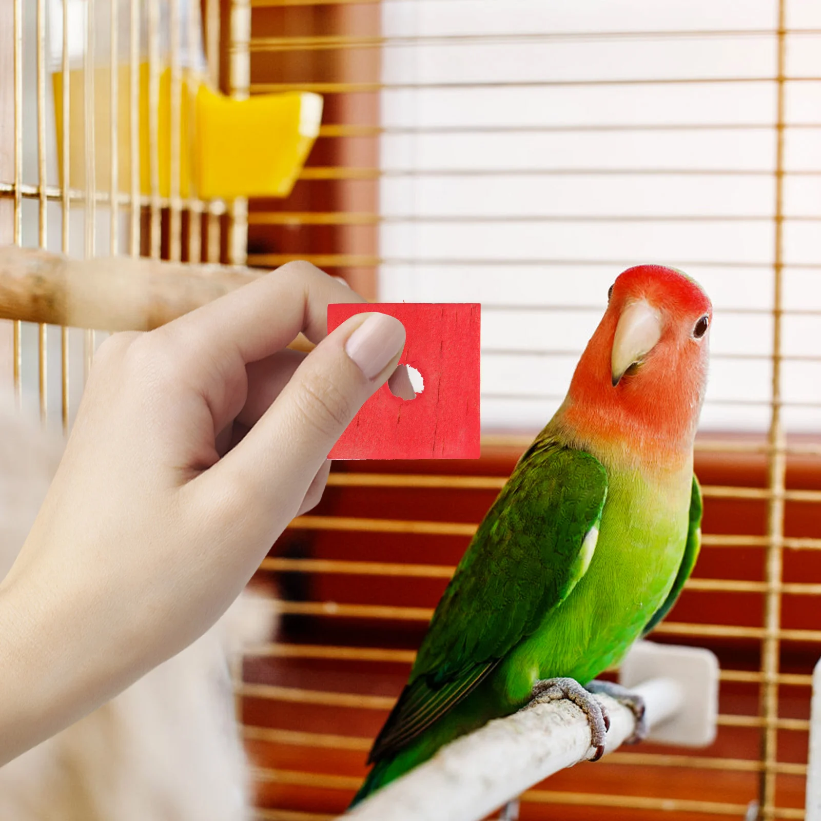

Wooden Piece Bird Bite Toys Bird Chewing Toys Parrot Pendant Toys Bird Cage Toy Parrot Cage Shredder Toy