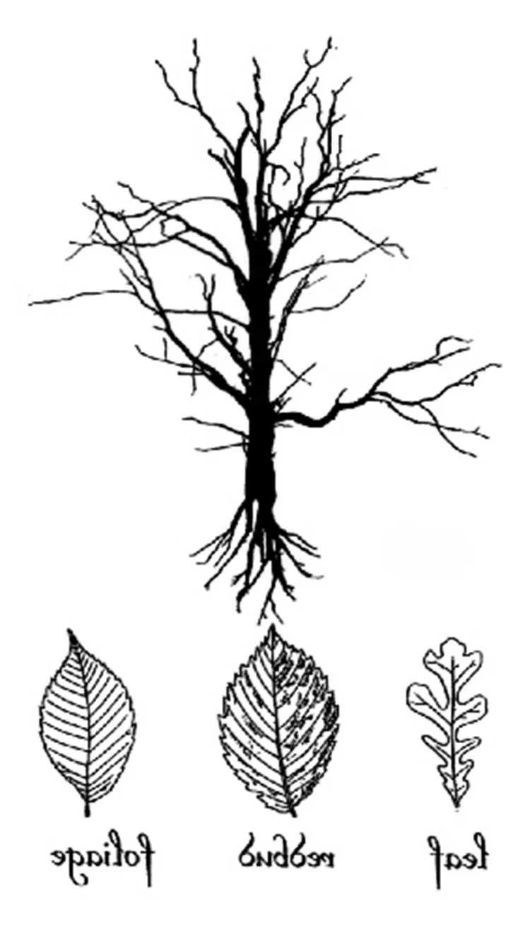 

Tattoo Sticker Body Art Black White Drawing Little letter tree branch leaves Water Transfer Temporary Fake tatto flash tatoo