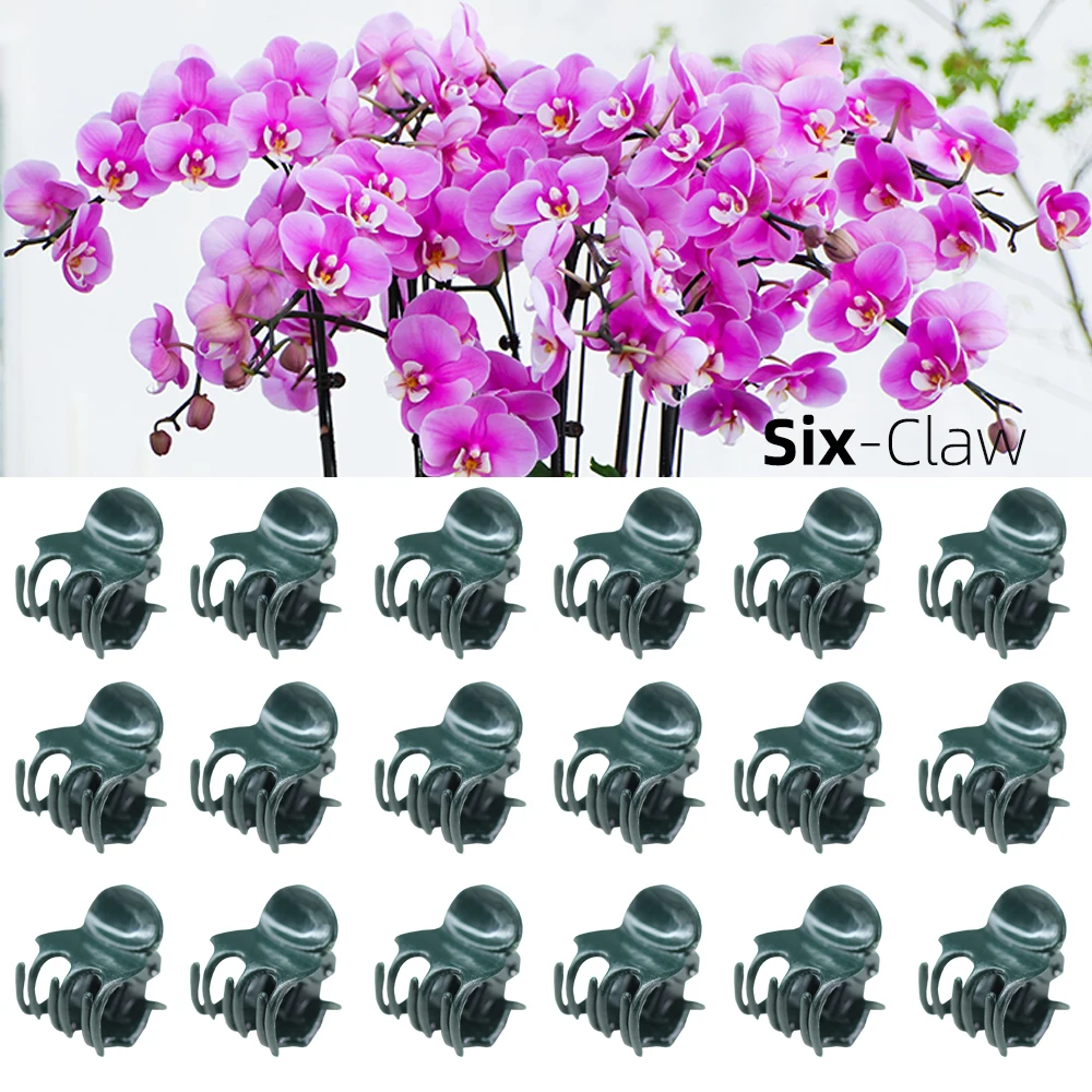 20-50PCS 6-Claw Dark Green Plant Clips Orchid Flowers Support Clamp Climbing Vine Stem Clasp Tied Bundle Branch Garden Tool