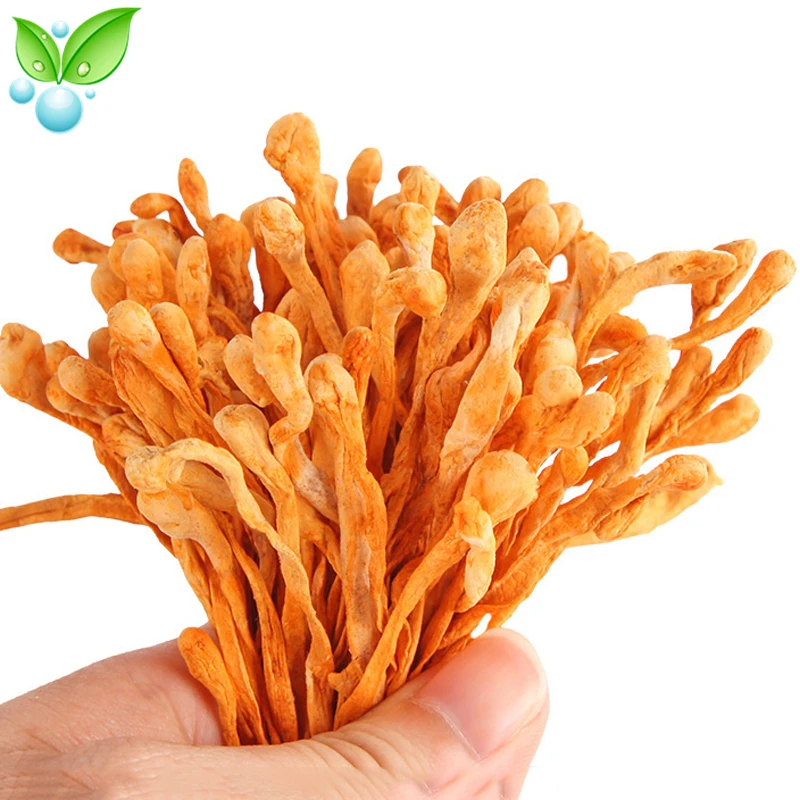 

Cordyceps Flower,Selected Cordyceps Flower, Chong Cao Hua,Soup-making Material of Cordyceps Militaris,Natural High Quality