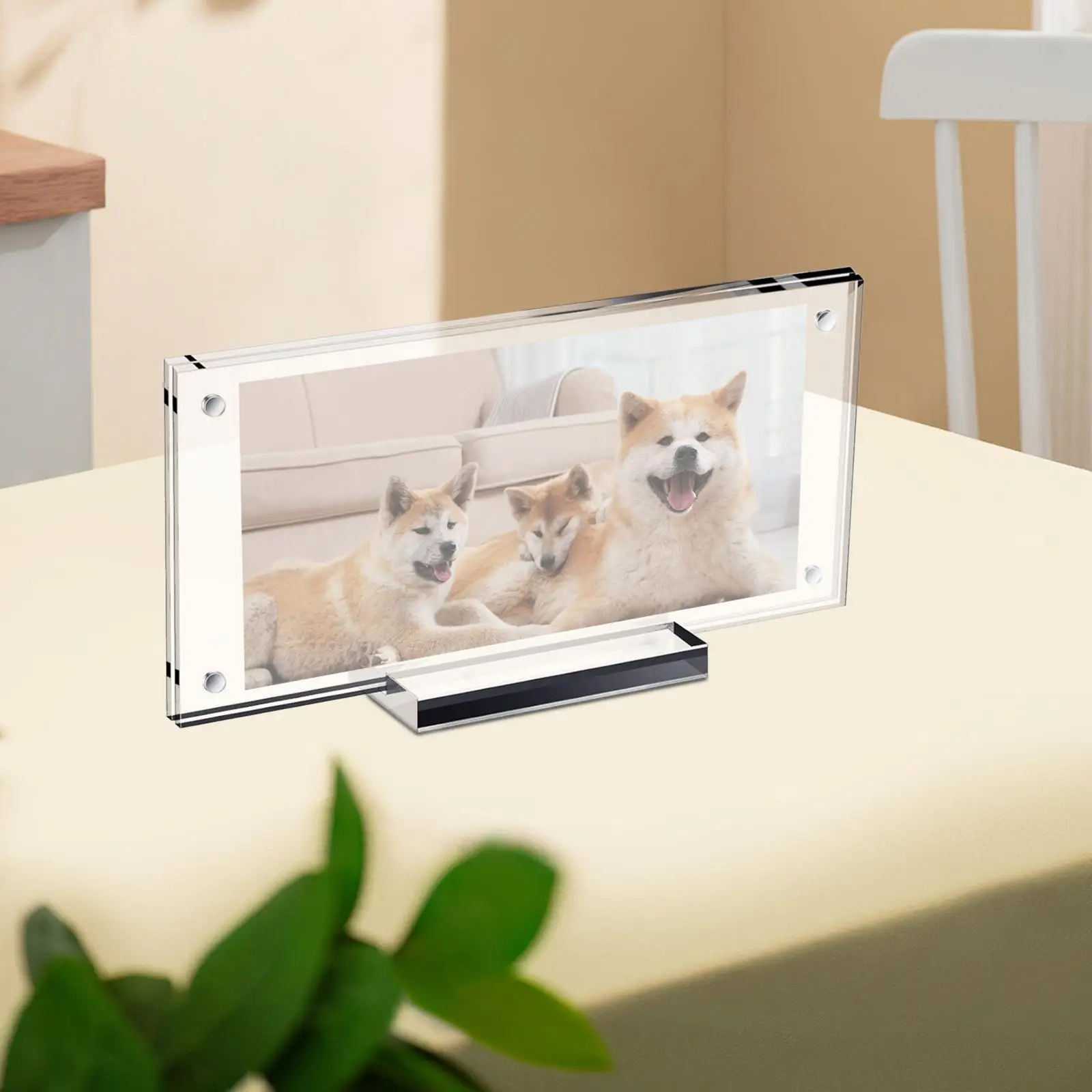 Держатель фоторамки для долларовых купюр с основанием Прочный износостойкий