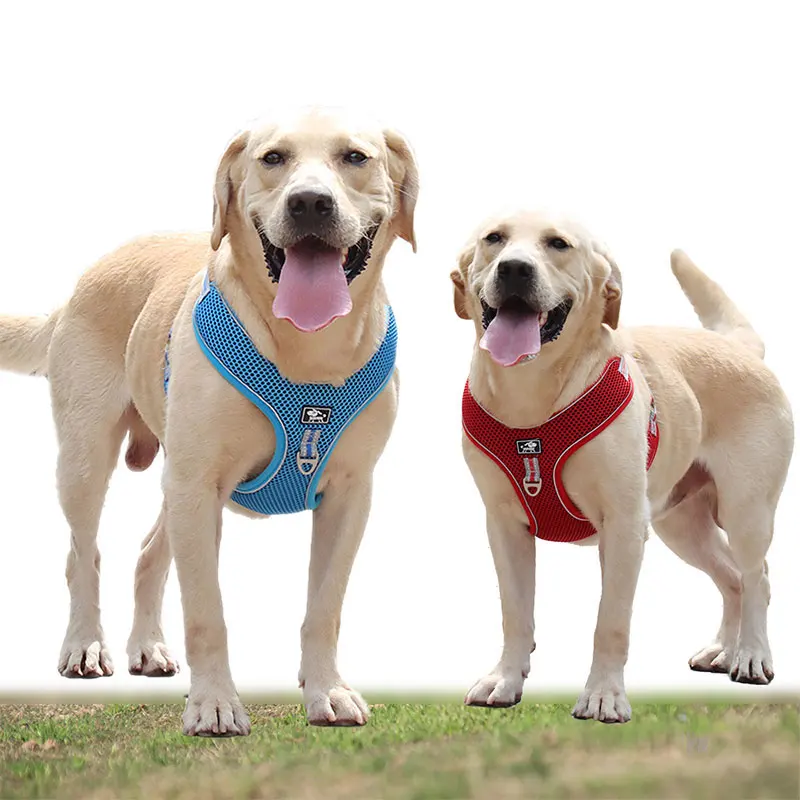 

Baitewei Medium And Large Dog Leash Chest Strap Breathable Reflective Traction Rope Outdoor Walking Seat Belt Pet Supplies