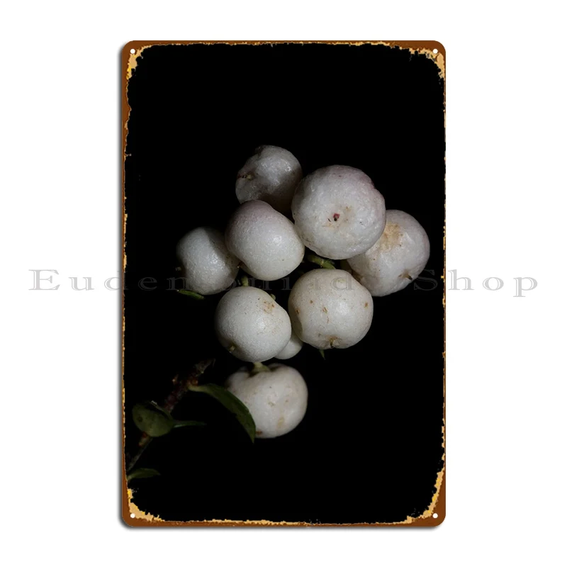 

White Symphoricarpos Fruit Metal Plaque Poster Party Cave Pub Designing Classic Tin Sign Poster