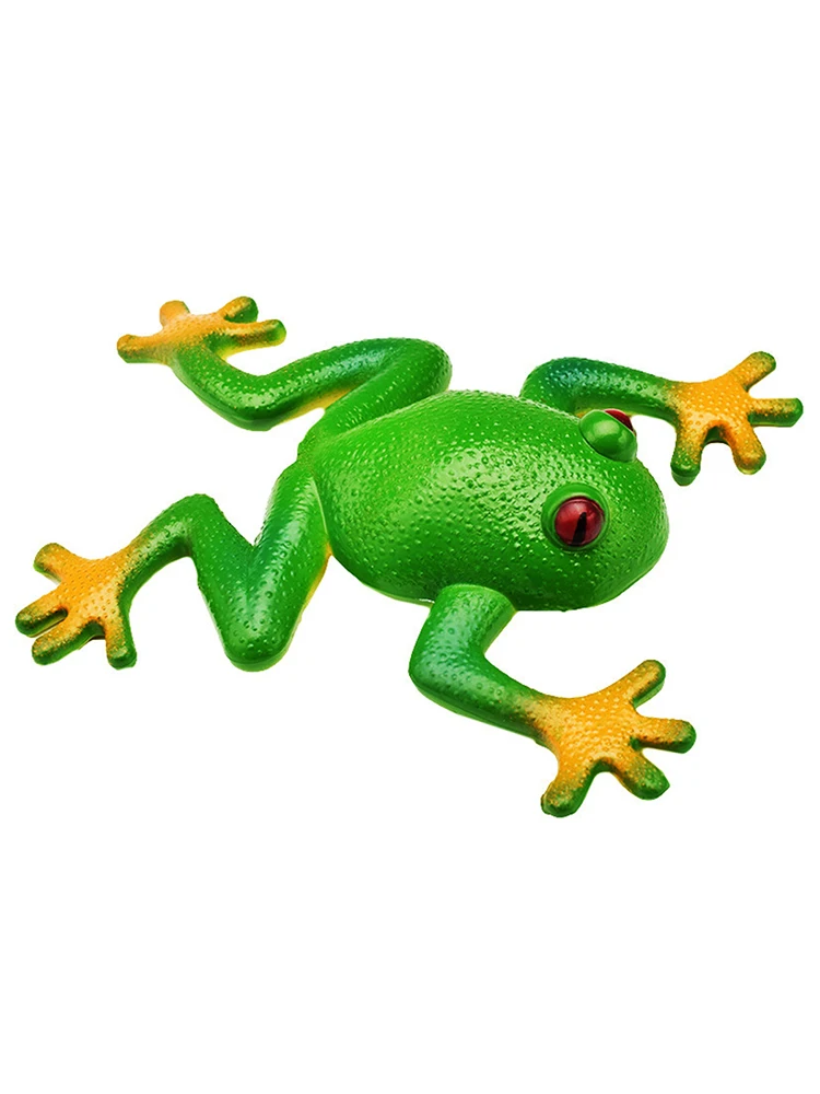 

Frog Toys Soft Rubber Sensory Play Great Gift for Toddlers