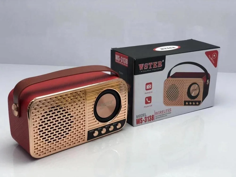Оригинальный WSTER WS3138 с поддержкой USB TF-карты FM-радио Dab тюнер Dj-система портативный