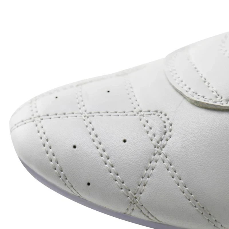 Breathable Taekwondo Shoes Martial Arts Sneaker Boxing Karate Kung Fu Tai Chi Shoes Blue Stripes Sneakers For Men Women Child