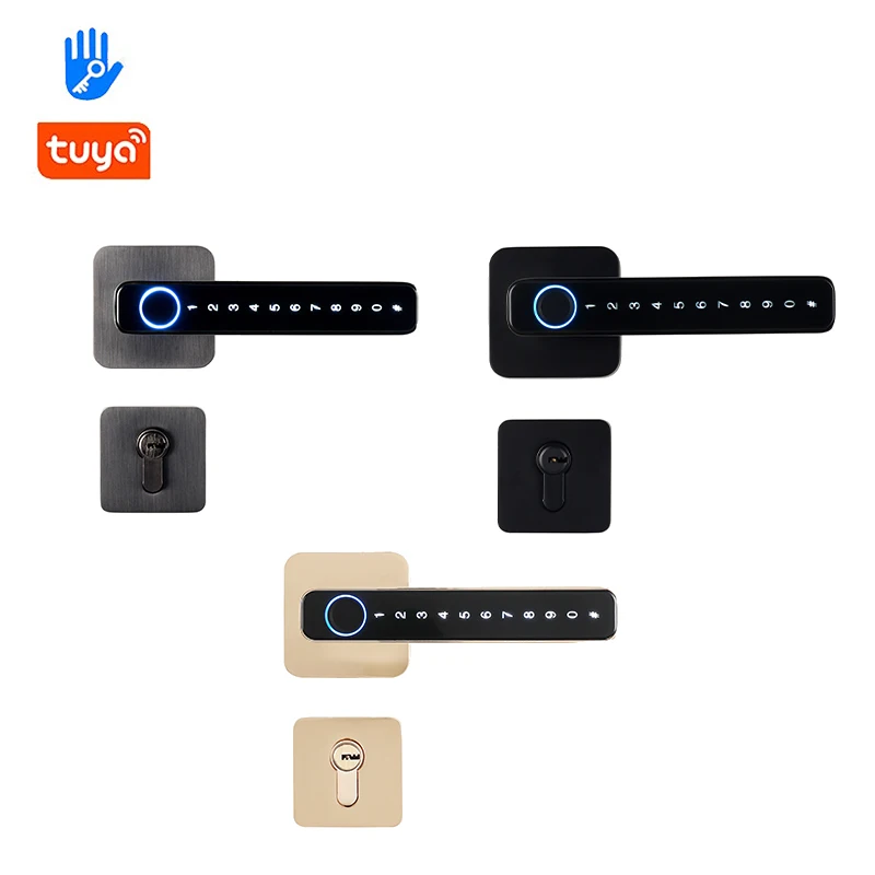 Kingku Smart Door Handle with Fingerprint Password Remotely Unlock，Digital Lock Tuya App，Keyless Entry for Interior Doors |
