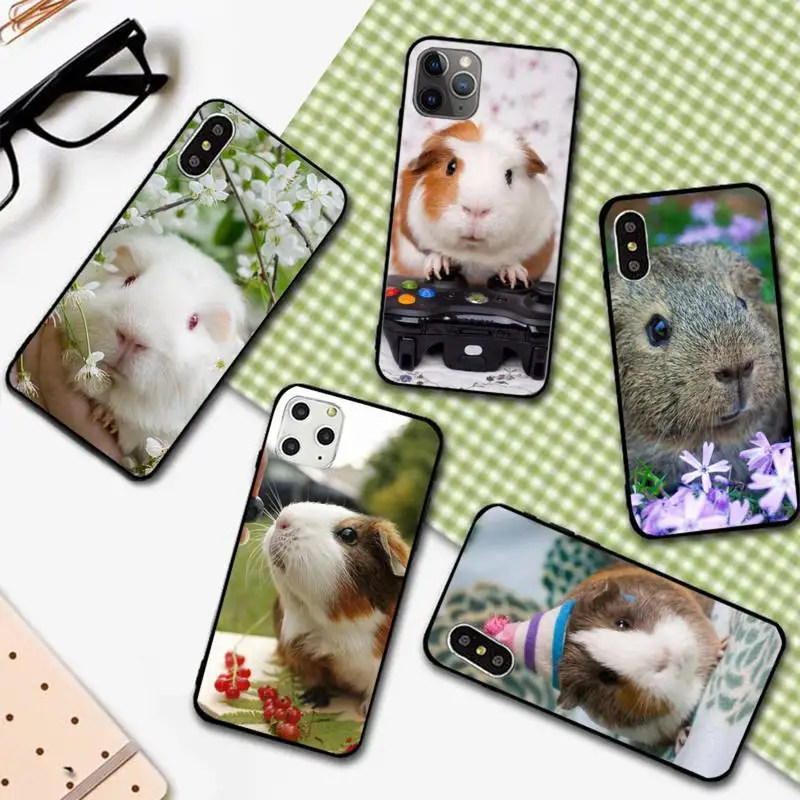 

Guinea pig Slim cute animal Phone Case For iphone 12 11 13 7 8 6 s plus x xs xr pro max mini shell