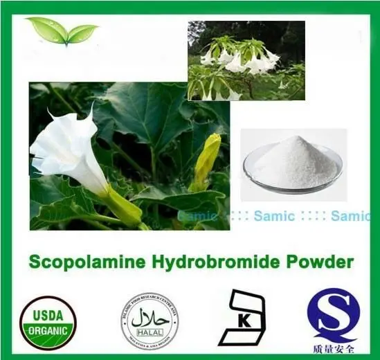 

99% Scopolamine Hydrobromide Upright Datura Flower Extract Anticholinergic