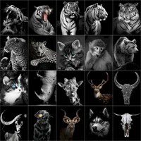 gatyztory 60x75cm painting by numbers acrylic paints black and white animal paint for painting pictures by numbers wall home dec
