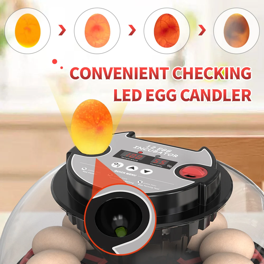 Мини-инкубатор M12H Smart Automatic для цыплят и рептилий (art.: 3920dc587dba1) - 3920dc587dba1