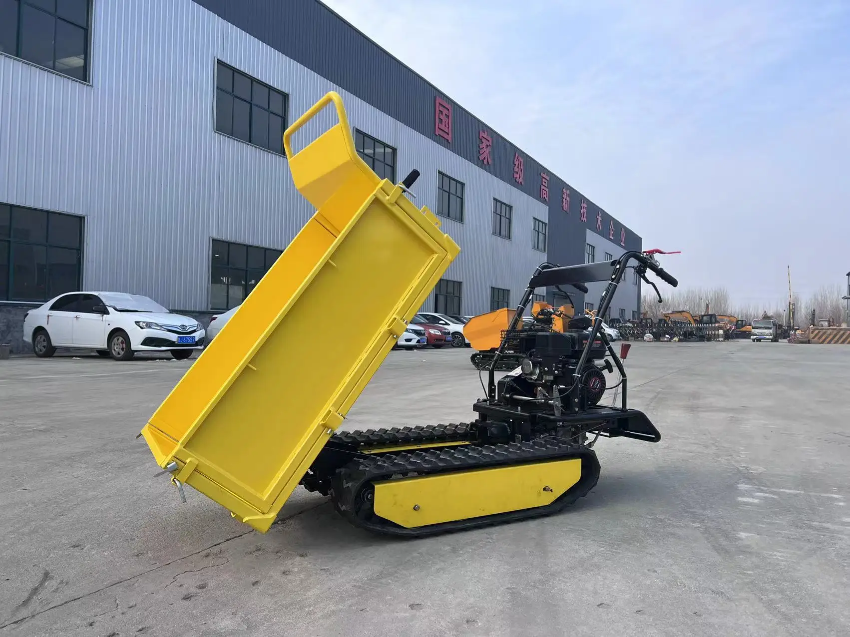 

300 кг семейный гусеничный самосвал для продажи