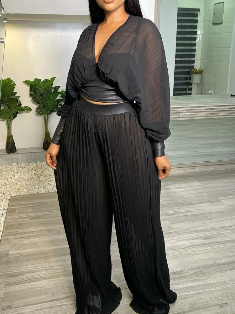 

Pleated Two Piece Set Women Long Batwing Sleeves Black Deep V Neck Top Loose Wide Leg Pants Solid Casual Date Spring outfits New