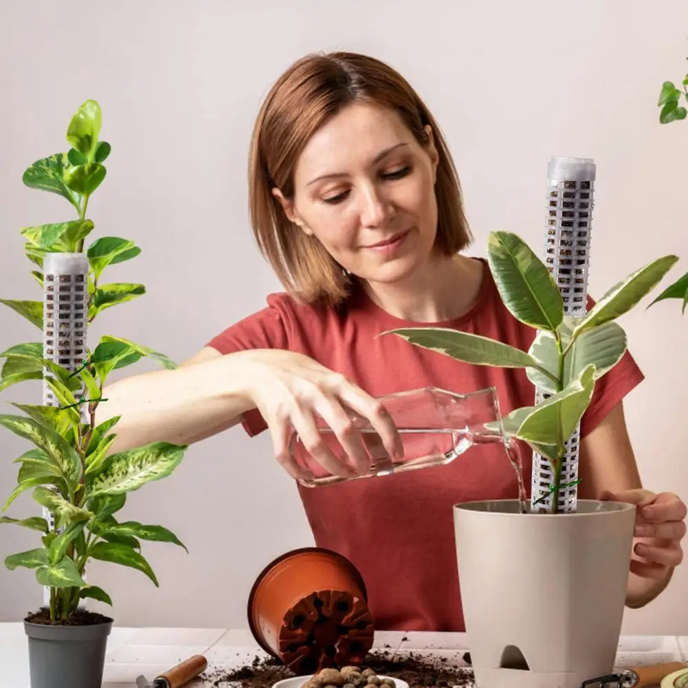 

Stackable 2 Styles Climbing Frame Potted Plants Moss Pole Stick for Dorm
