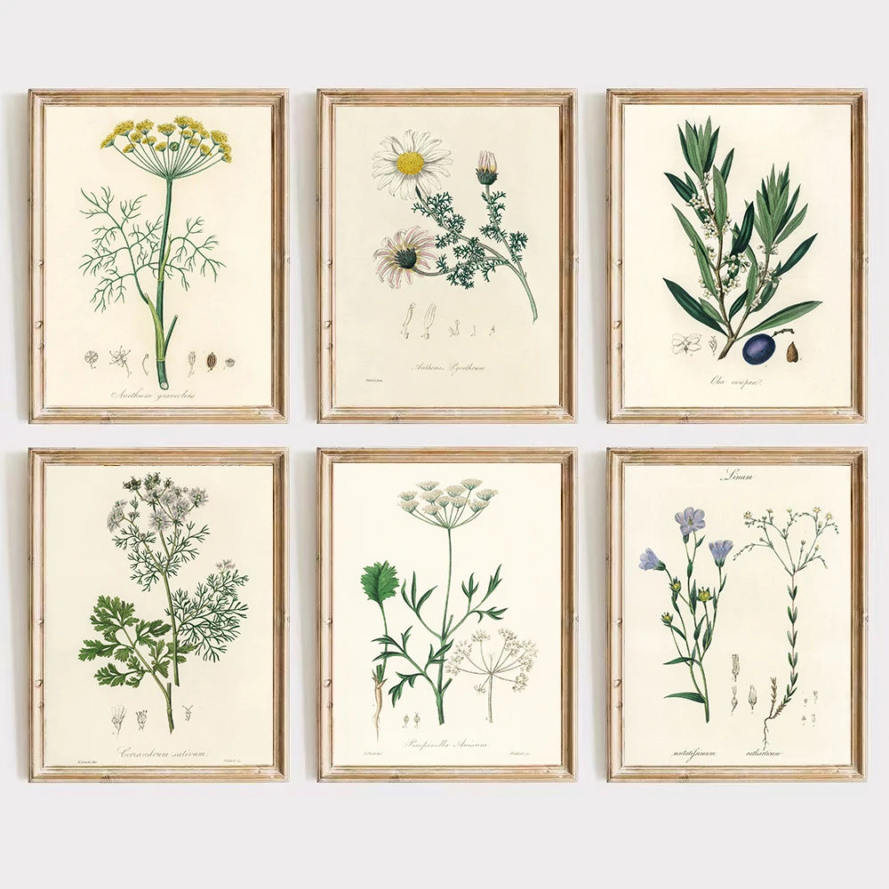 Винтажный ботанический папоротник эстетический цветок растения ретро постер