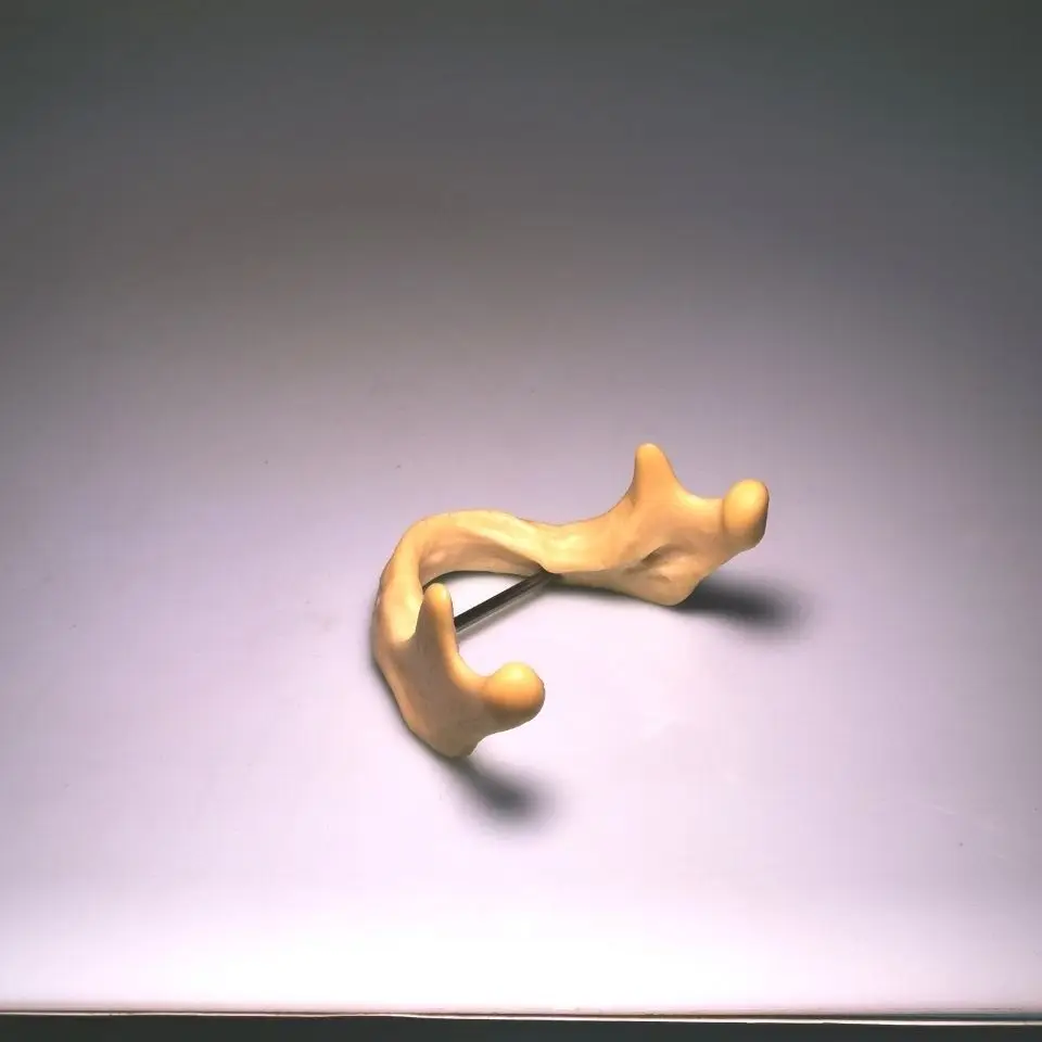 Dentistry Mandible implant practice model drilling Dental |