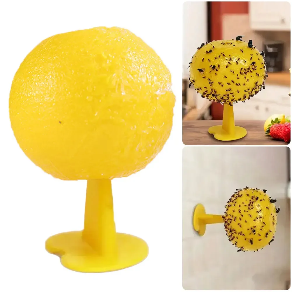 Ловушка для насекомых и фруктов многоразовая ловушка