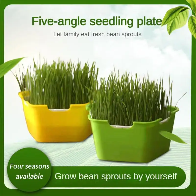 

Bean Sprouts Growing Tray Seed Seedling Starter Dish Greenhouse Hydroponics Plant Cat Grass Germination Nursery Pot Grow Box
