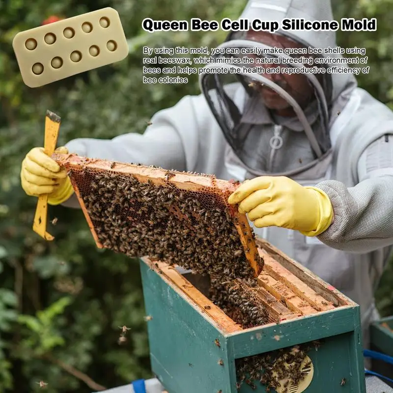 Силиконовые формы прививочные чашки для пчелиных маток многофункциональный