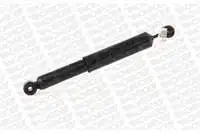 

2CV shock absorber for R3202