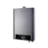 condensing type stainless steel gas water heater