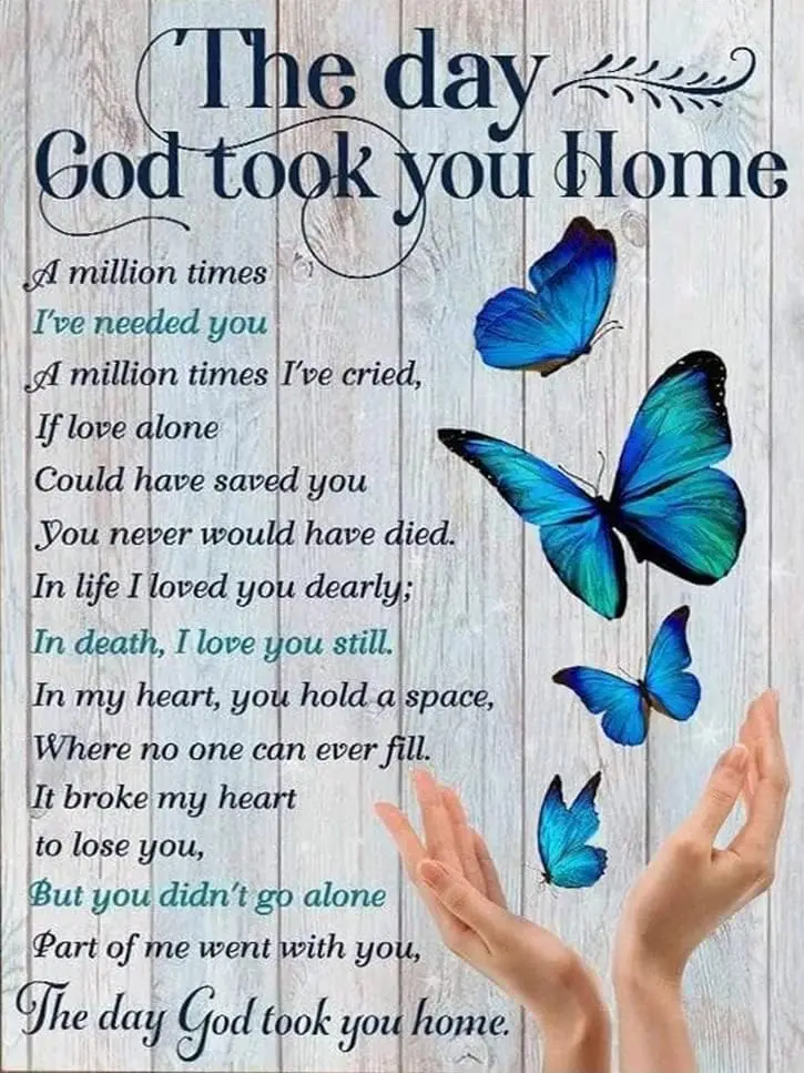 Krouterebs ntque Metl Sgn Butterfly The Dy God ok You Home Tn Vntge Decorn Grge Grden Cfes Ktchen Wll Sgns 812 nch