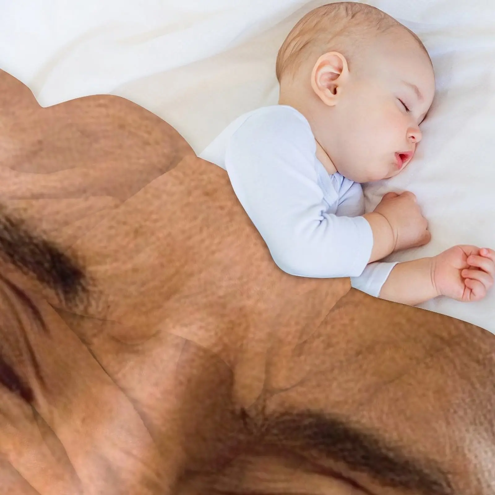 Фото Плед Dwayne Johnson, роскошный, большой, мягкий, для кровати, одеяло-плед №5