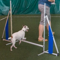 dog folding jump aluminum hurdle pet training equipment