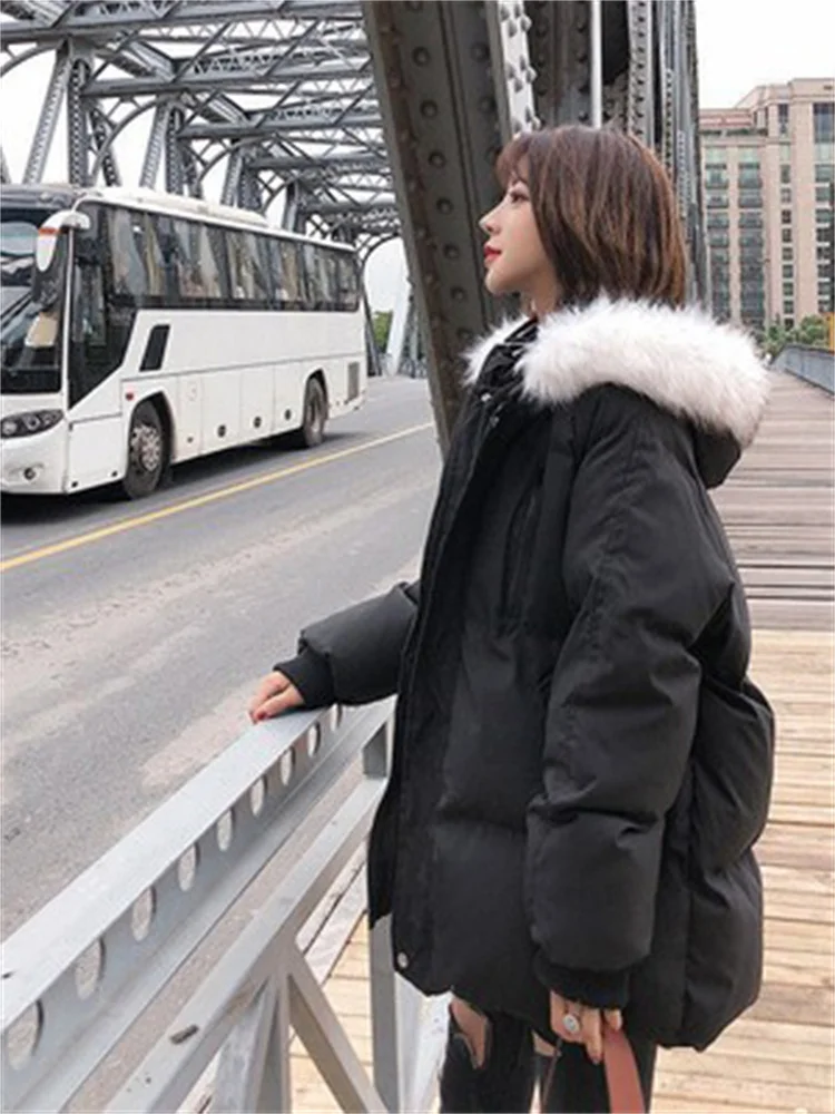 2022 Winter New Thickened Zipper Padded Jacket Women Korean Version Down Cotton Jacket Female Casual Hooded Bread Clothing