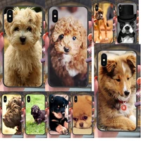 for junior brown white puppy dog black waterproof luxury prime 3d back for samsung galaxy a72 a725f a71 a70 4g 5g a50 a40 a30