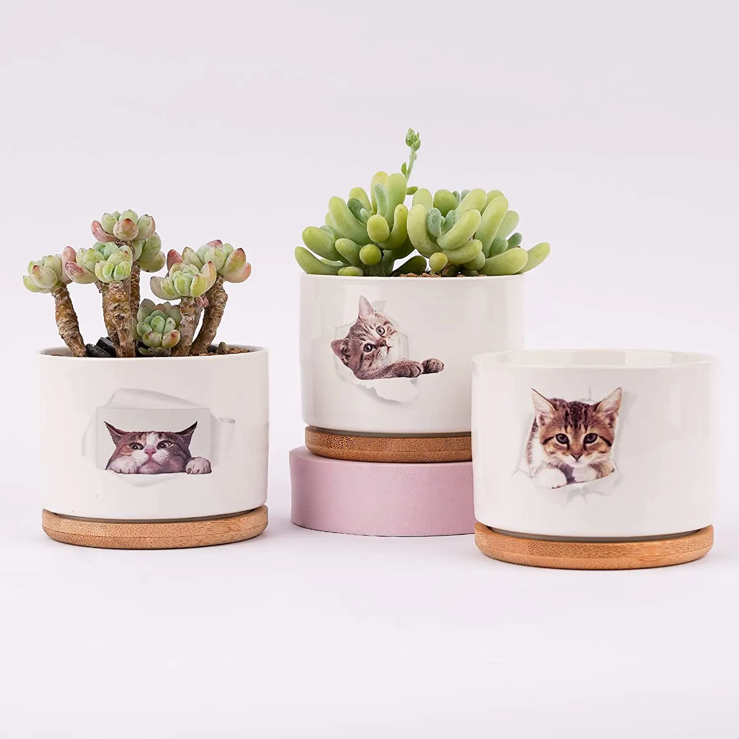 

Indoor Mini Succulent Plant Ceramic Kitten Flowerpot