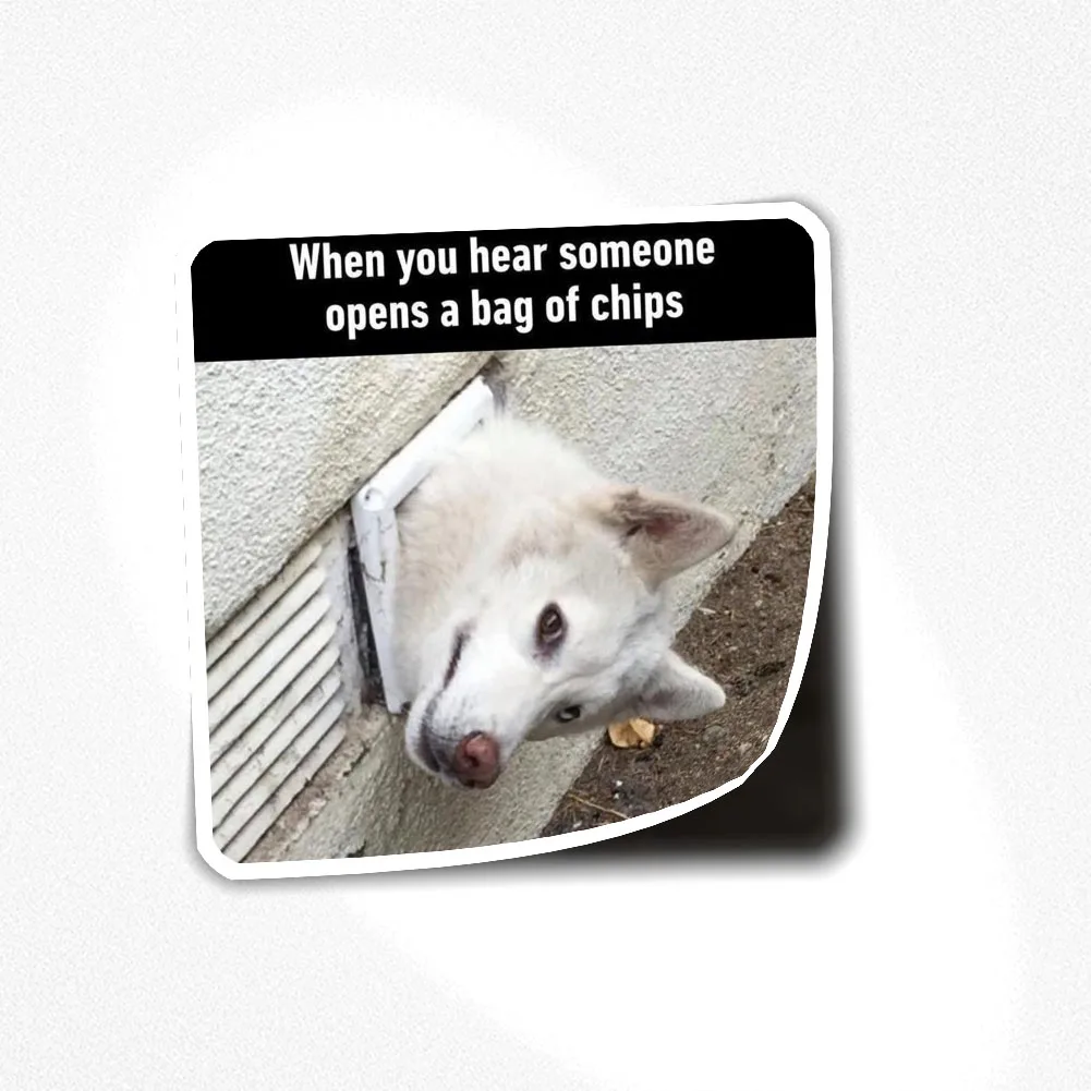 

Стикер с собакой и мемом 001, стикер для декора ноутбука, спальни, автомобиля, милое мультяшное искусство, модный общественный чемодан