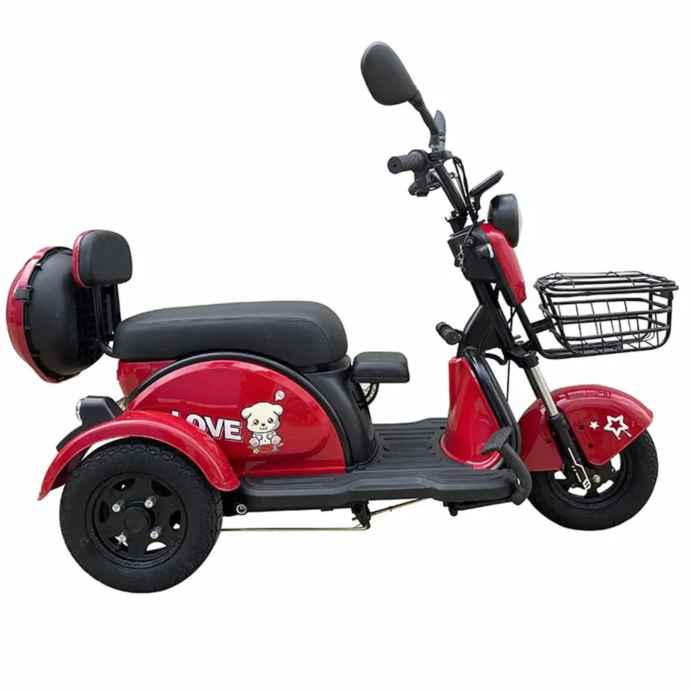 Рисунок 4 - Электрический трехколесный бытовой