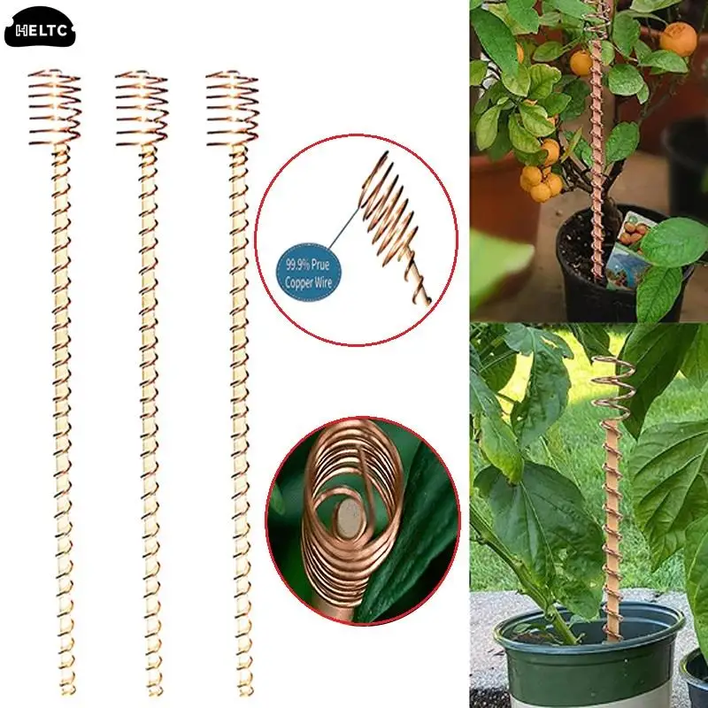 

1/6Pcs Electroculture Plant Stake Wood Rod Garden Vegetables Growing Electro Culture Copper Wire Coil Antenna Yard Plant Bracket