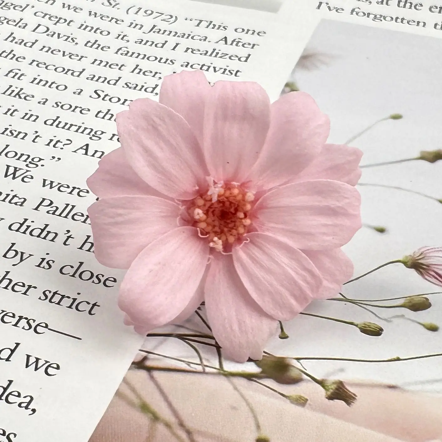 

Консервированные цветы Гольфир, набор из 12 штук