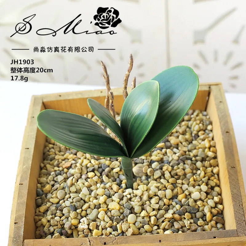 

Искусственные листья фаленопсиса бабочки из шелка