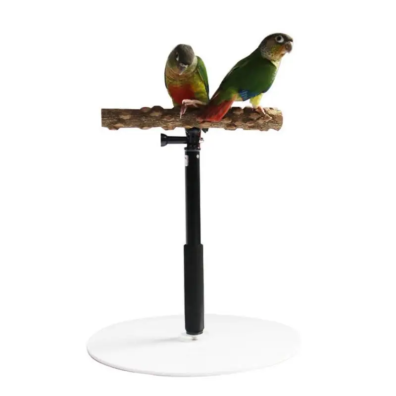 

Bird Stand Adjustable Playstand For Bird Pet Bird Training Stand Wooden Retractable Perch Rack For Parrots Parakeets Bird