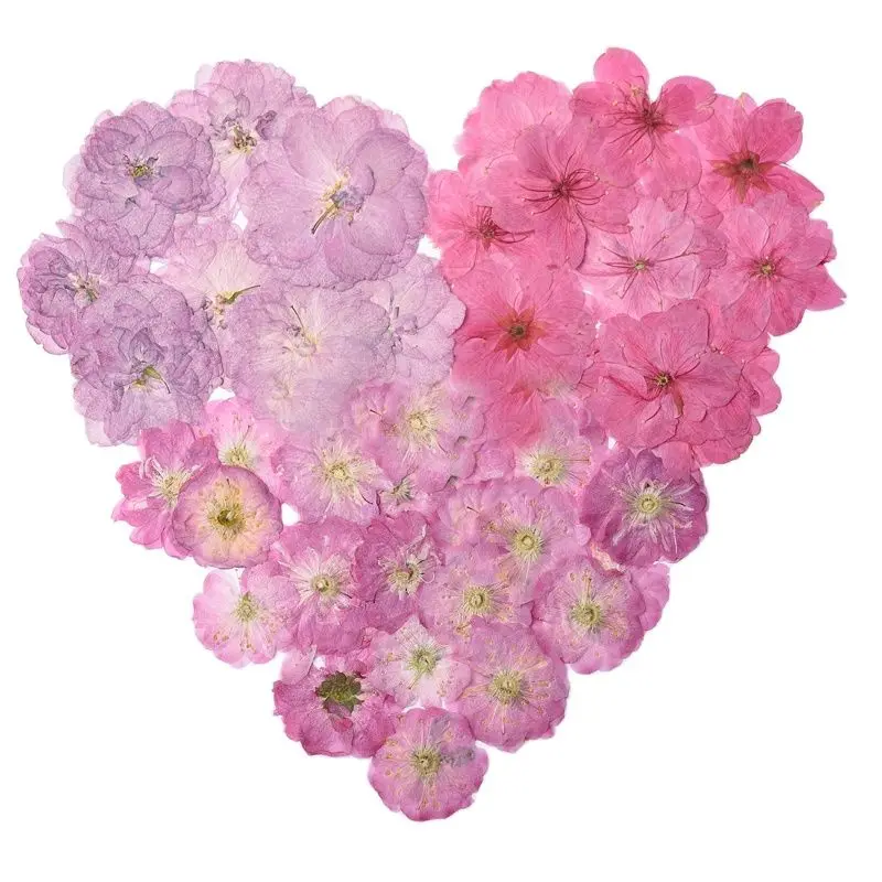 Розовые сушеные цветы вишни украшения для творчества открытки ручной работы