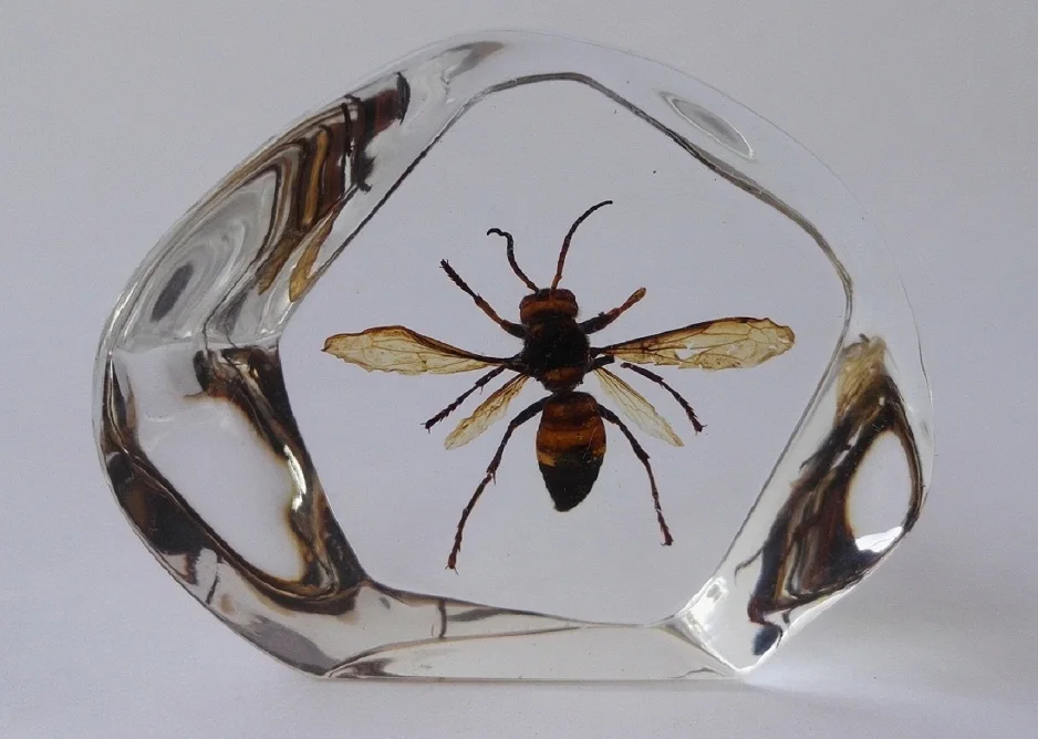 Янтарный образец насекомых эпоксидная смола пауки жуки модель скорпиона