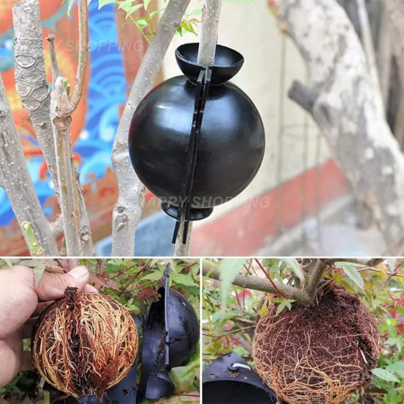 

Plant Breeding Ball Large Medium And Small Agricultural Gardening High-pressure Reusable Planting Supplies Breeding Equipment