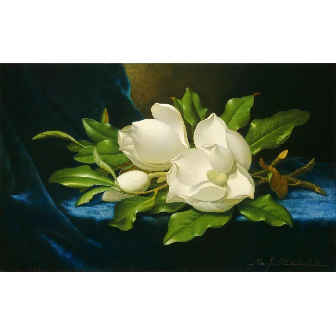 

Giant Magnolias on a Blue Velvet Cloth.Martin Johnson Heade paintings, Hand painted flower painting,art paintings on canvas