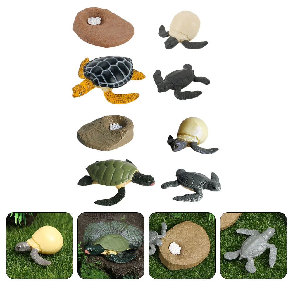 

2 Sets/8pcs Sea ​​turtle Hand-made Ornament Growth Toy Decor Cycle Model Frog Toys Statue