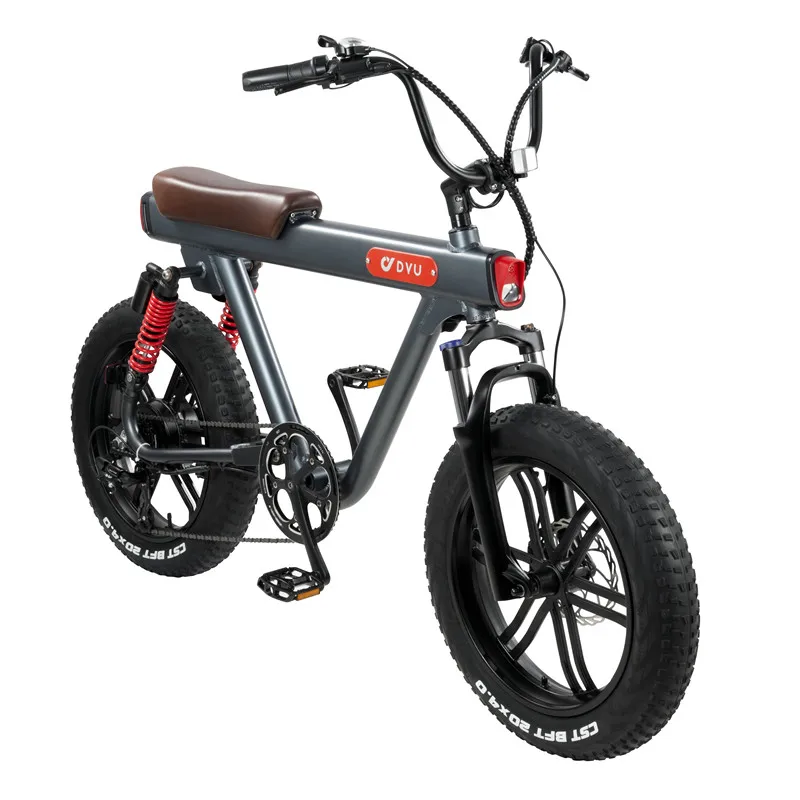 

750W 48v Electric Road Bike Fat Tire Electric EBike Mountain Bike Snow E-bike 20''Electric Bicycles