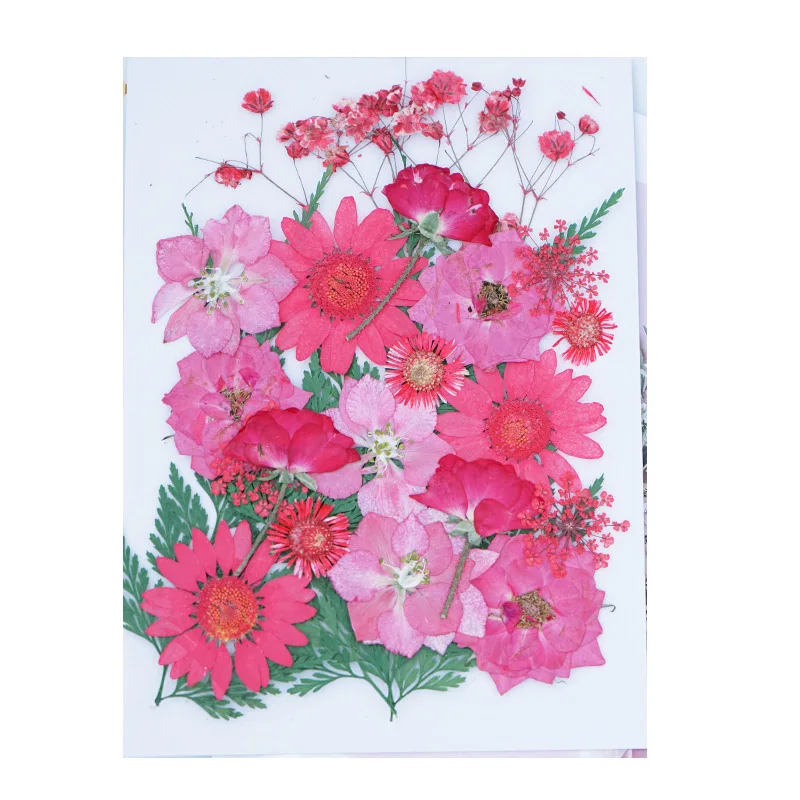 

2022 Dried Flower Embossing Material Kits Bookmarks Real Leaves Plants Specimens Drip Glue Phone Cases Hand Stickers Face Makeup